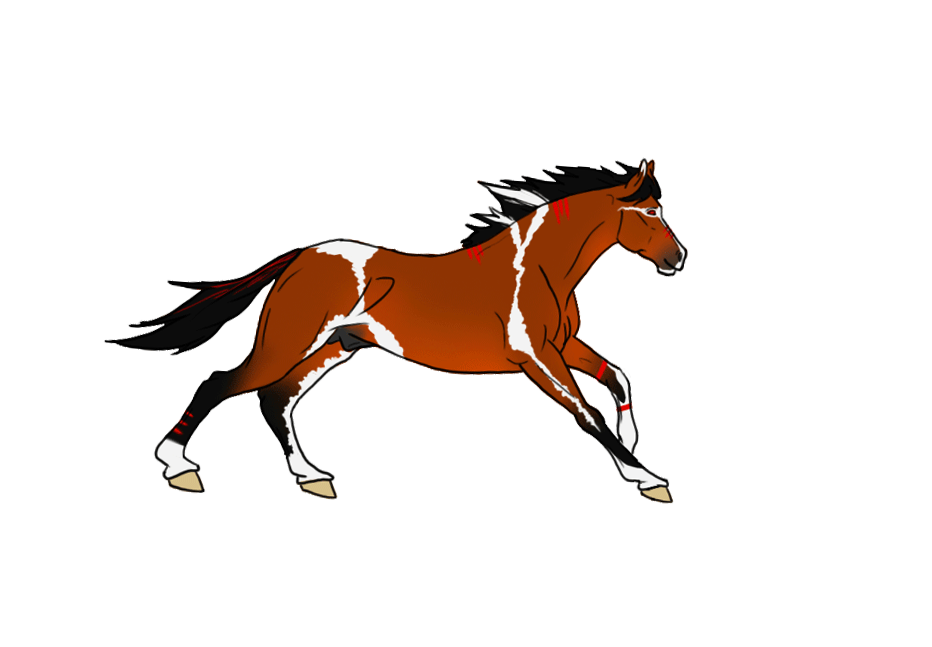 horse5